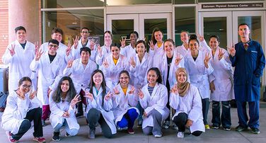 School of Molecular Sciences General Fund